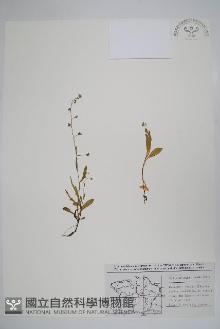 登錄號:S077597藏品圖，第1張