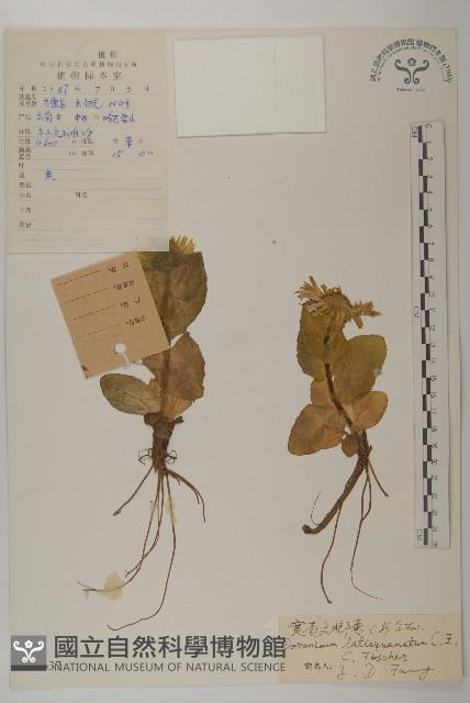 登錄號:S022637藏品圖，第1張