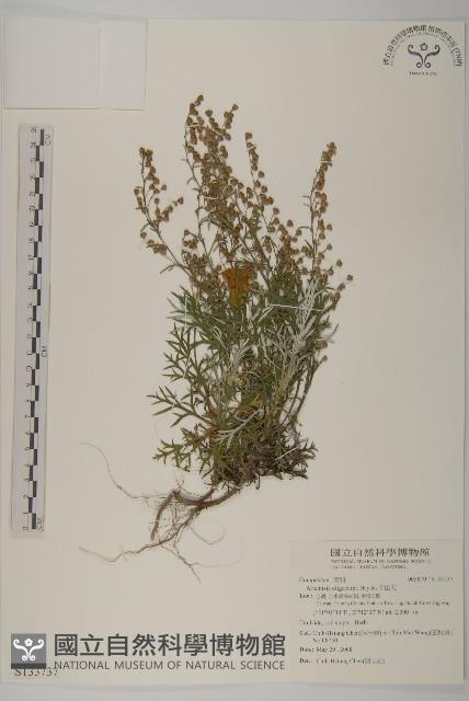 太魯閣艾藏品圖，第1張