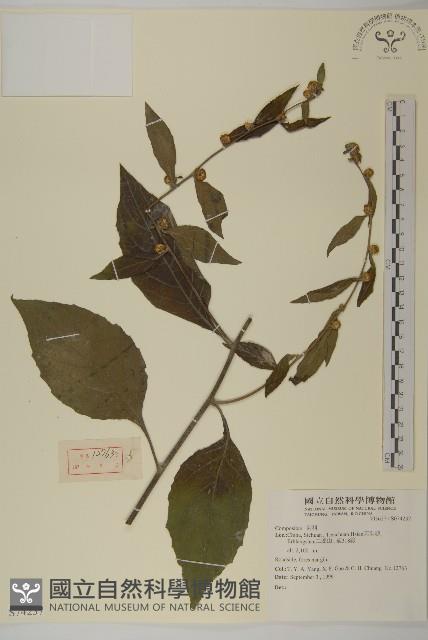 登錄號:S074237藏品圖，第1張