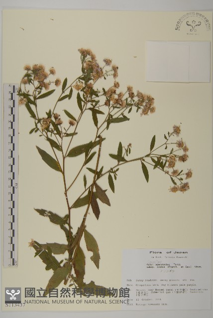 登錄號:S113437藏品圖，第1張