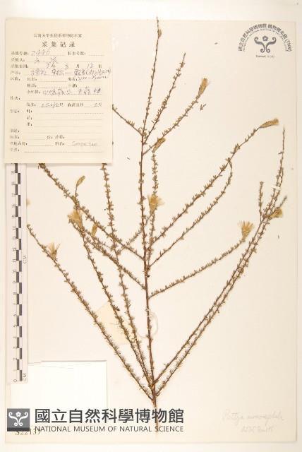 登錄號:S022137藏品圖，第1張