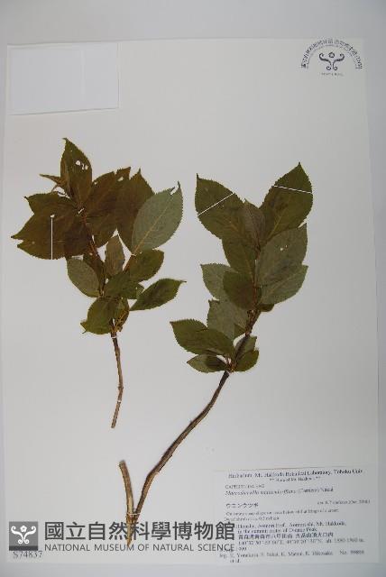 登錄號:S074837藏品圖，第1張