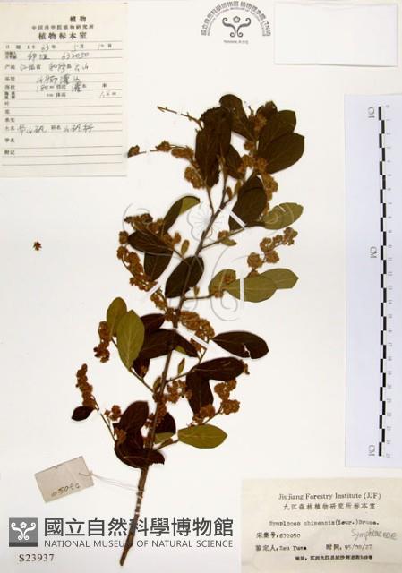 灰木藏品圖，第1張