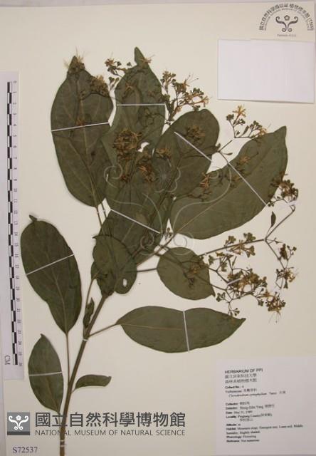 大青藏品圖，第1張