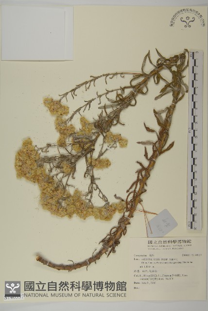 登錄號:S140537藏品圖，第1張