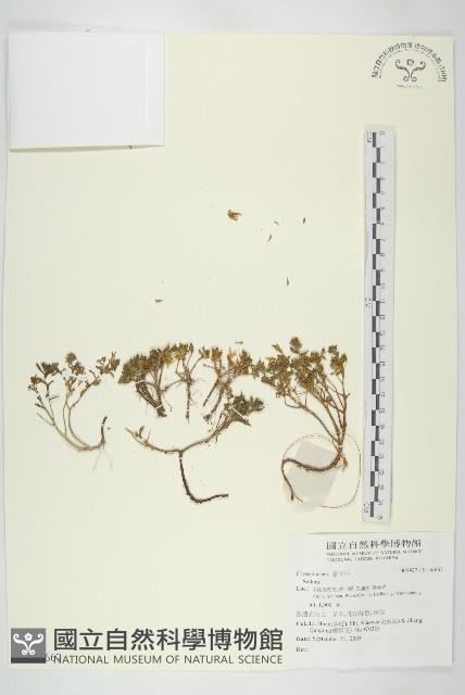 登錄號:S136667藏品圖，第1張