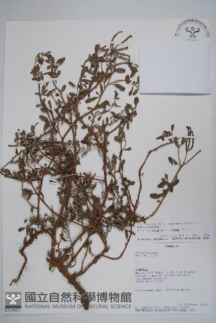 登錄號:S053667藏品圖，第1張