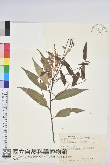 白校欑藏品圖，第1張