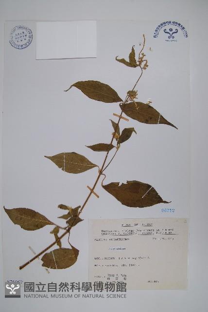 登錄號:S076067藏品圖，第1張