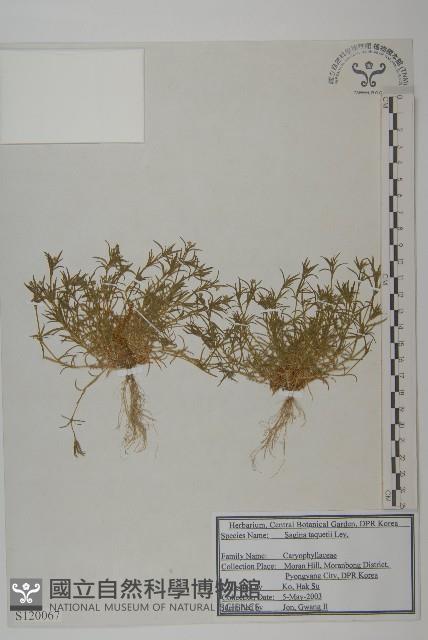 登錄號:S120067藏品圖，第1張