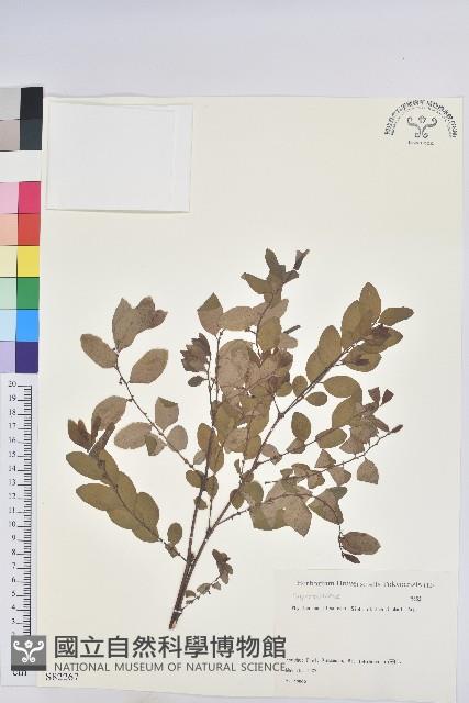 登錄號:S082267藏品圖，第1張