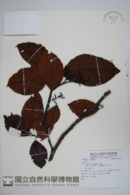 登錄號:S081467藏品圖，第1張