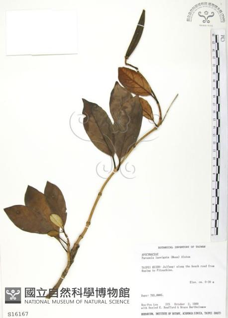 爬森藤藏品圖，第1張