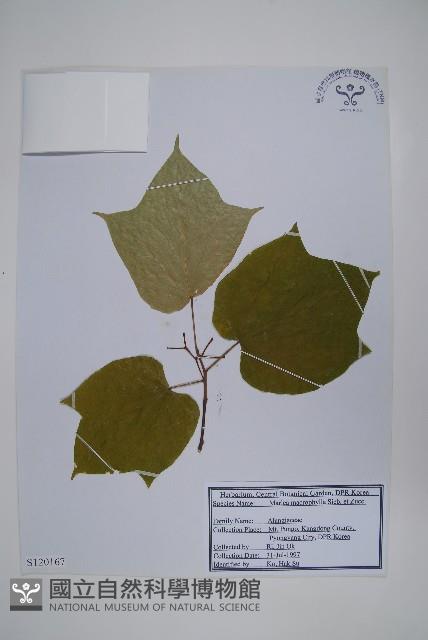 登錄號:S120167藏品圖，第1張