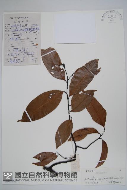 登錄號:S103167藏品圖，第1張