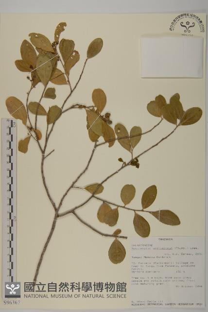 登錄號:S096367藏品圖，第1張