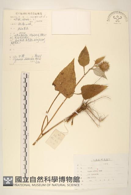 山牛旁藏品圖，第1張