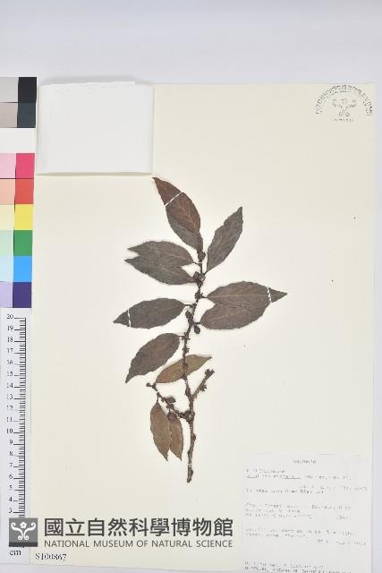登錄號:S100867藏品圖，第1張
