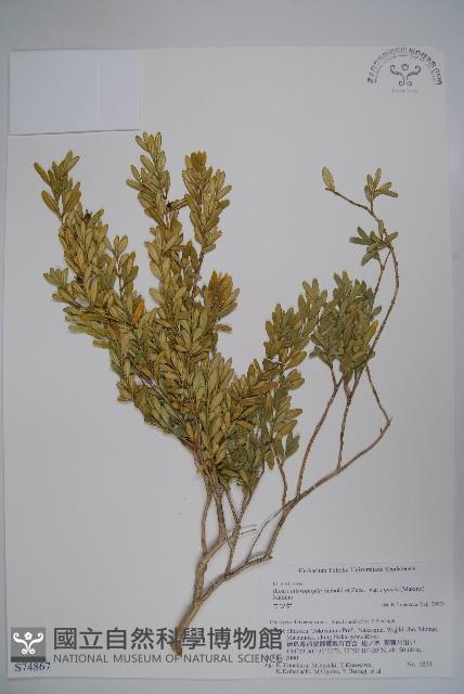 登錄號:S074867藏品圖，第1張