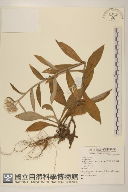 登錄號:S073967藏品圖，第1張