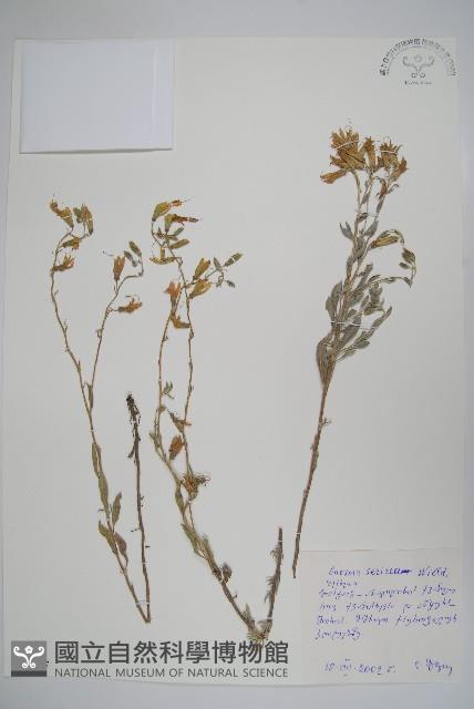 登錄號:S097567藏品圖，第1張