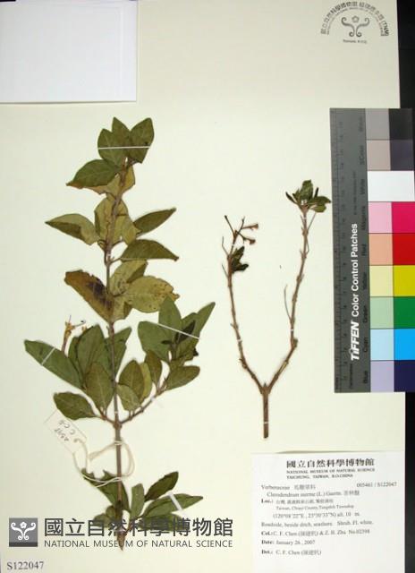 苦林盤藏品圖，第1張