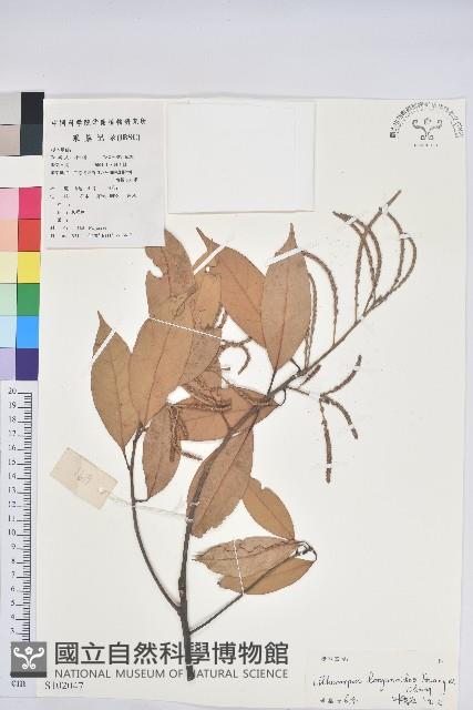 登錄號:S102047藏品圖，第1張