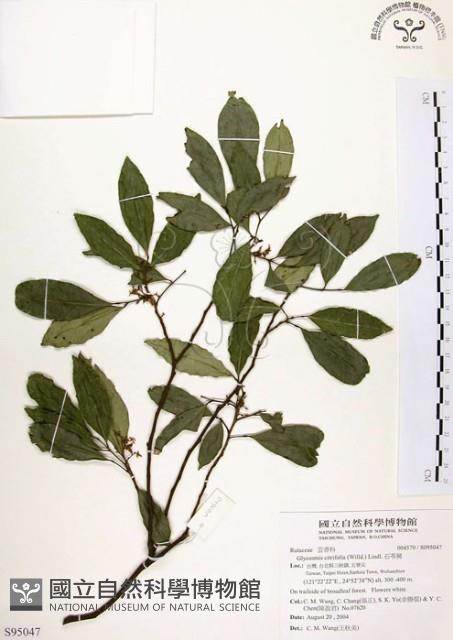 石苓舅藏品圖，第1張