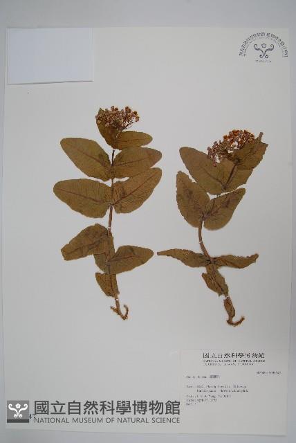 登錄號:S031747藏品圖，第1張