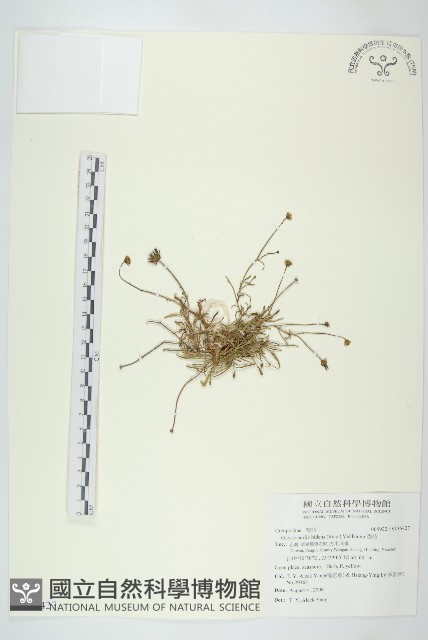 登錄號:S136247藏品圖，第1張