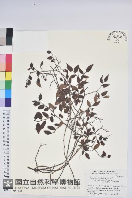 登錄號:S051247藏品圖，第1張