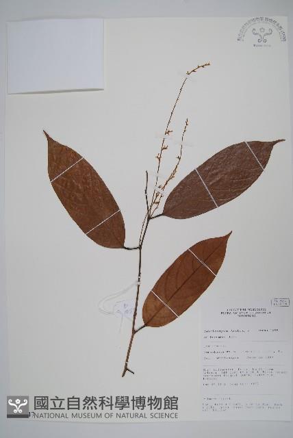 登錄號:S055247藏品圖，第1張