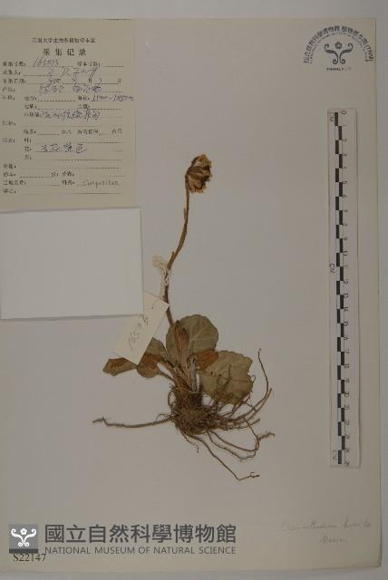 登錄號:S022147藏品圖，第1張