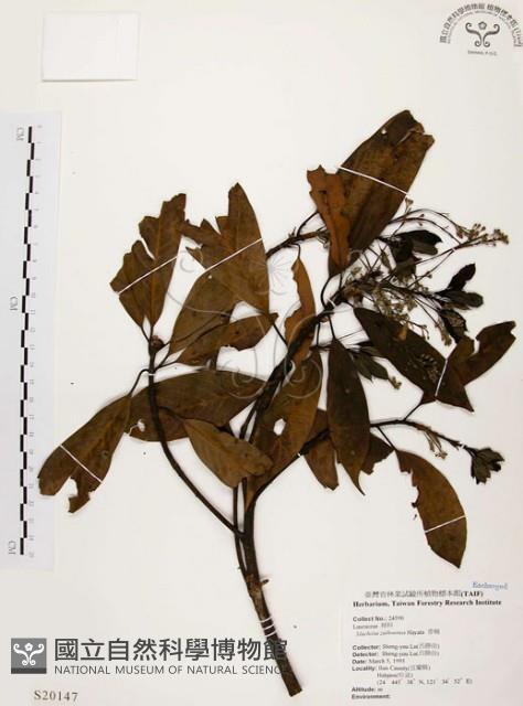 香楠藏品圖，第1張