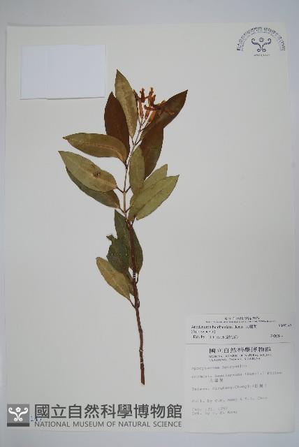 大錦蘭藏品圖，第1張