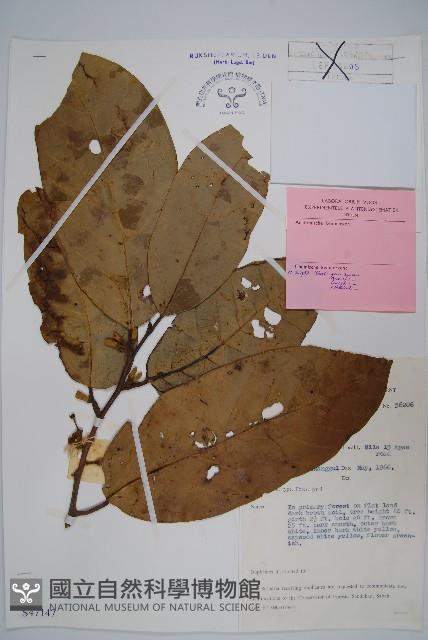 登錄號:S047147藏品圖，第1張