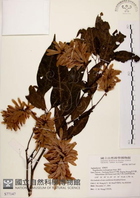 黃杞藏品圖，第1張