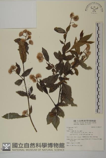 登錄號:S122347藏品圖，第1張