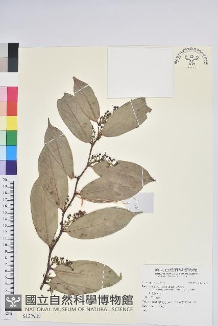 登錄號:S137947藏品圖，第1張