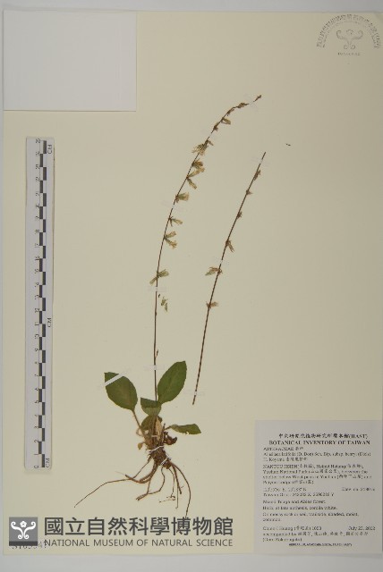 臺灣鬼督郵藏品圖，第1張