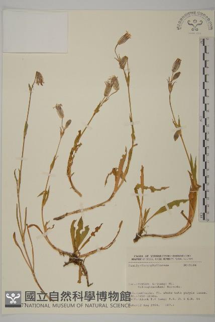 登錄號:S031677藏品圖，第1張