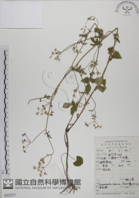 登錄號:S052277藏品圖，第1張