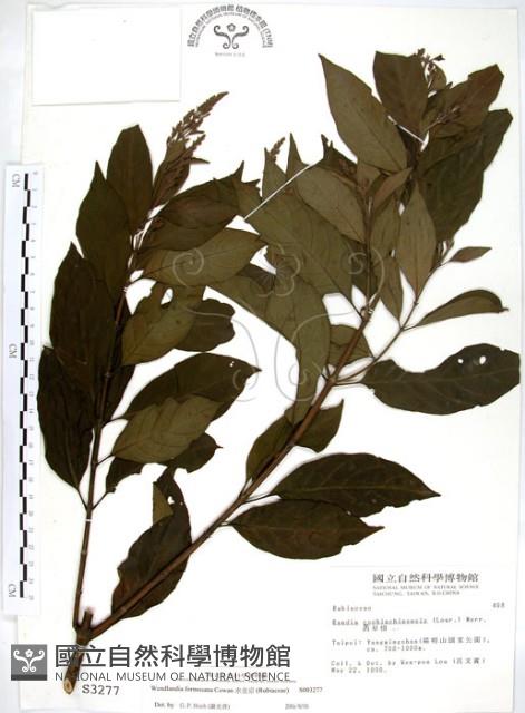 水金京藏品圖，第1張