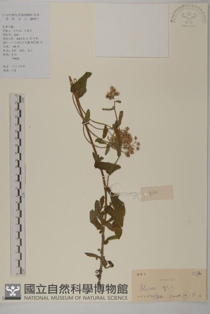 登錄號:S102477藏品圖，第1張