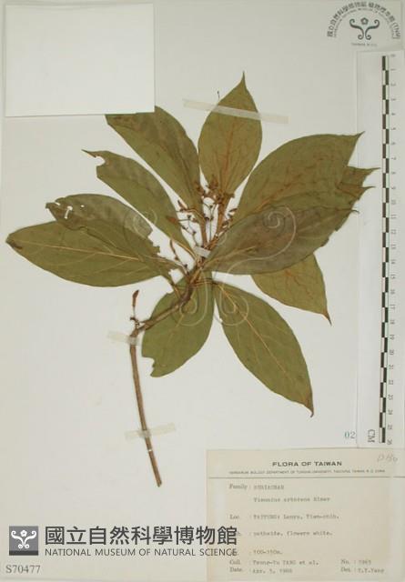 貝木藏品圖，第1張