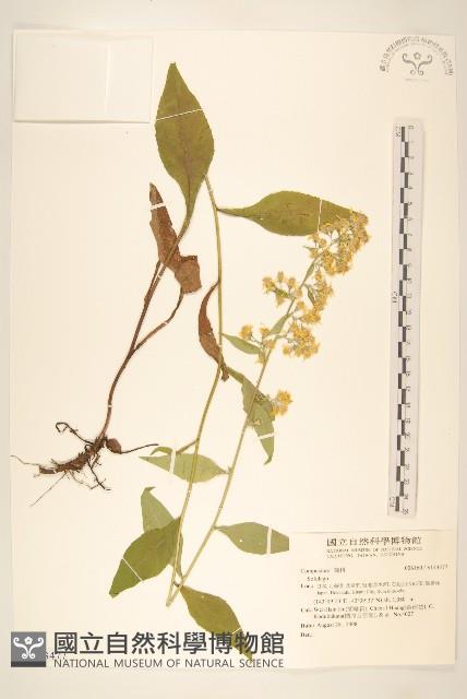 登錄號:S143477藏品圖，第1張