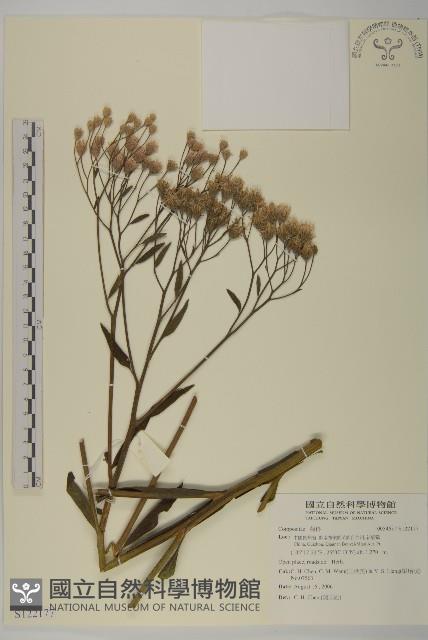 登錄號:S122177藏品圖，第1張