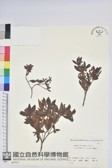 登錄號:S082177藏品圖，第1張