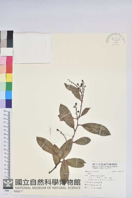 登錄號:S096877藏品圖，第1張